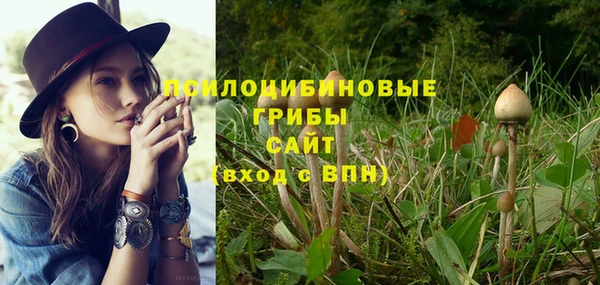 первитин Алексеевка