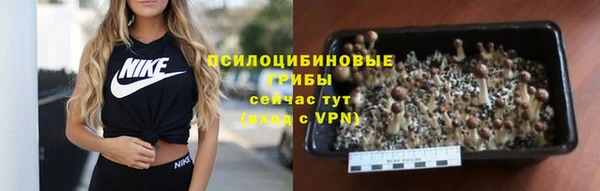 герыч Алзамай