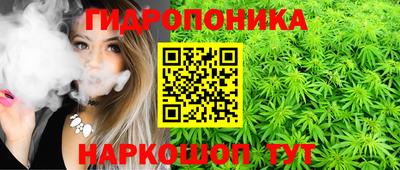 шишки Берёзовский