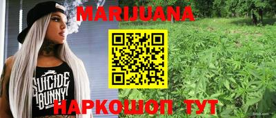шишки Берёзовский