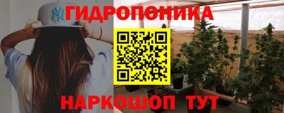 шишки Берёзовский