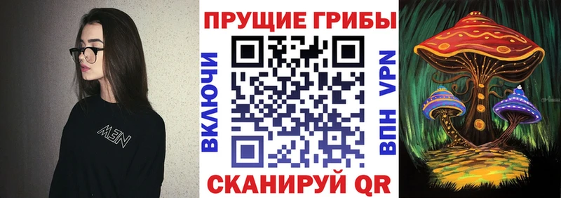 дарнет шоп  Белебей  Псилоцибиновые грибы Cubensis 