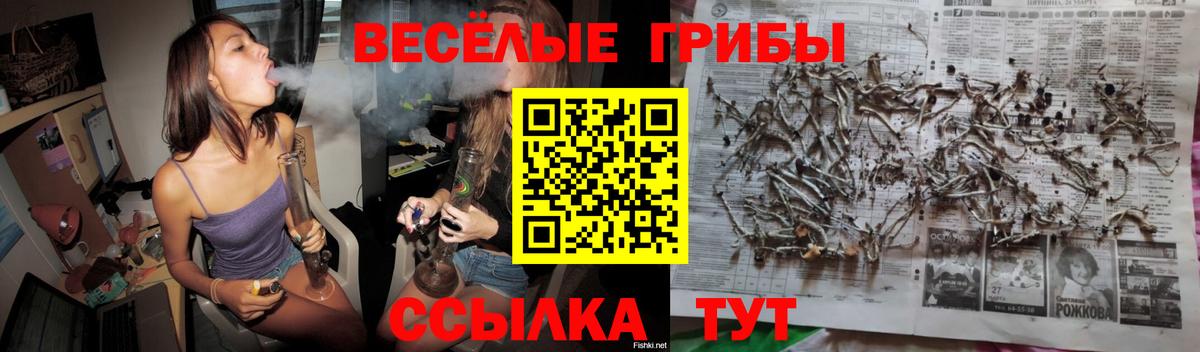 Галлюциногенные грибы Psilocybe  Вход с VPN  Белебей 
